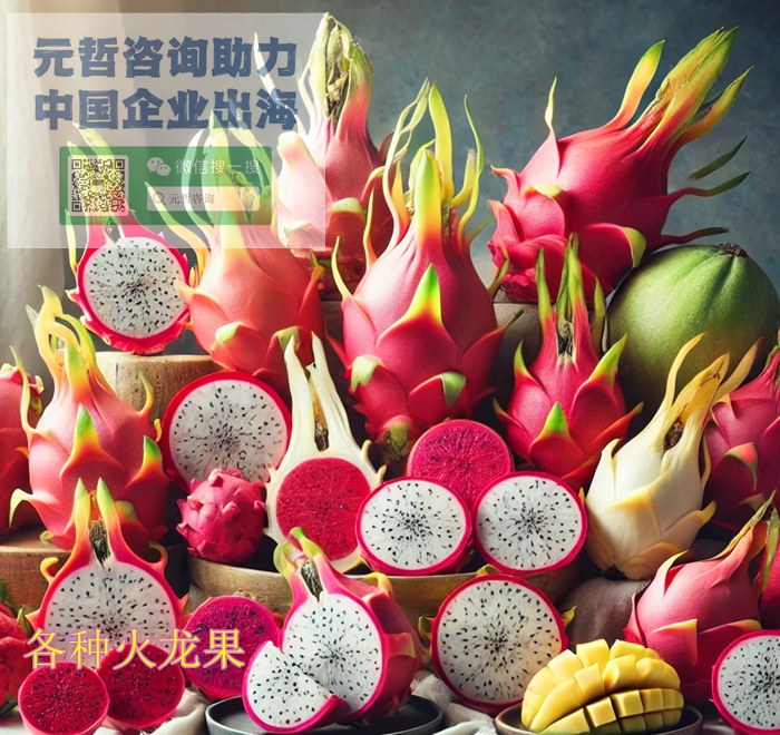 越南火龙果