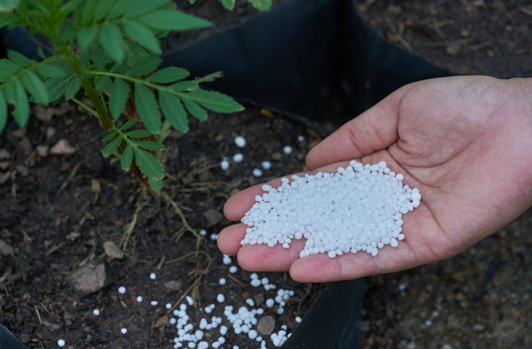 越南尿素|尿素进口商|尿素