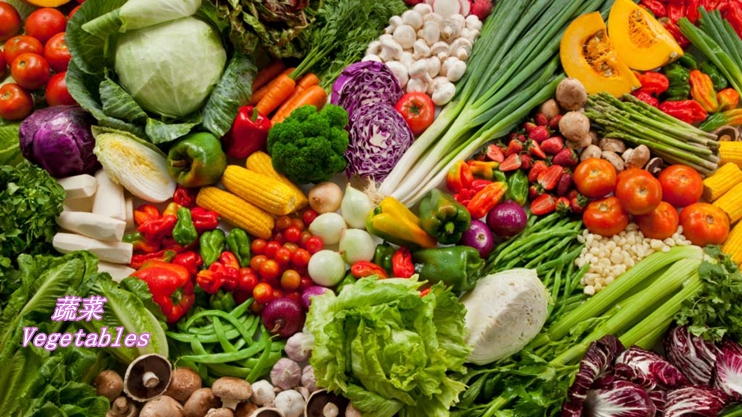 蔬菜