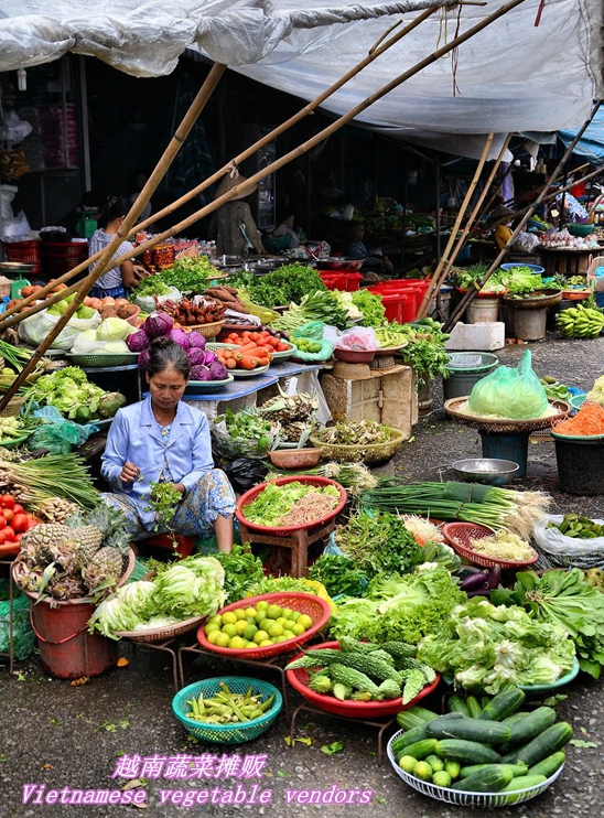 越南蔬菜