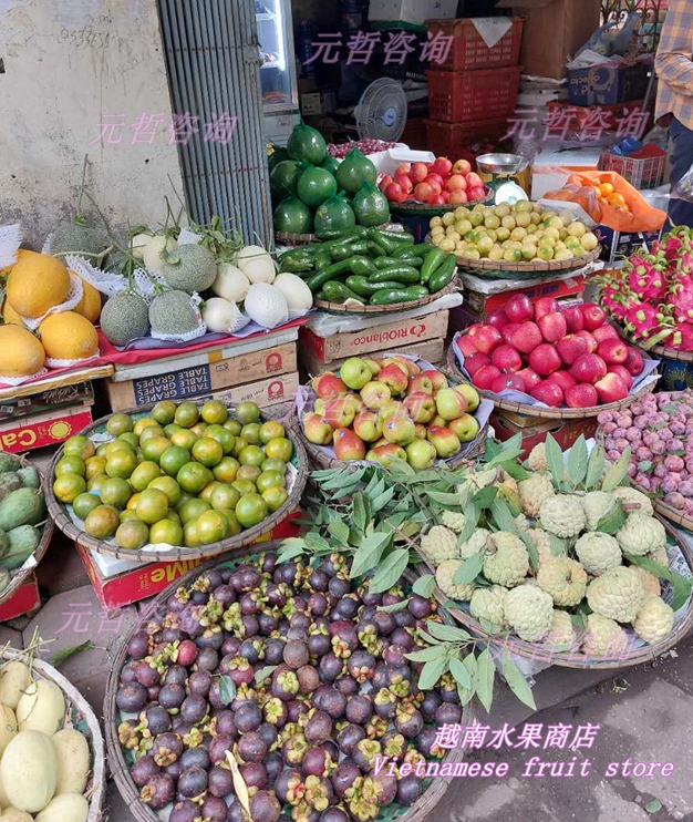 越南水果